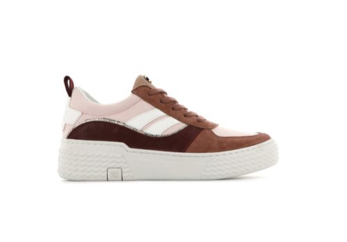 Palladium Ego 01 Cvs Sneakers Damen Rosa | HOj5qiEv